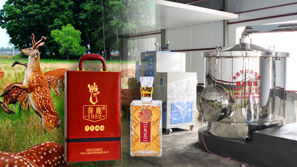 用大型釀酒設(shè)備釀鹿茸酒，走出黑龍江生態(tài)旅游發(fā)展特色之路！