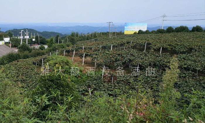 大學(xué)生村官創(chuàng)業(yè)園1