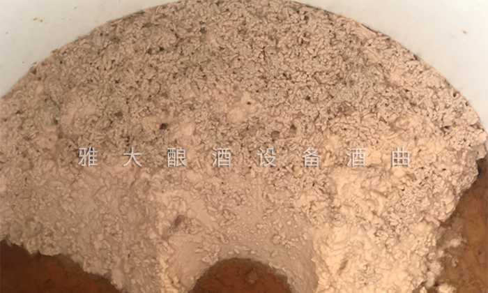 6.4大米酒在發(fā)酵過(guò)程中變酸
