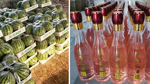 常大哥用不銹鋼釀酒設(shè)備做西瓜酒，“花樣”賺錢(qián)