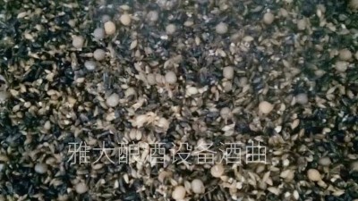用小型酒廠釀酒設(shè)備做黑大麥酒，開家個(gè)性化的釀酒作坊！