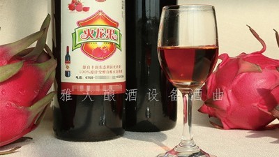 雅大釀酒設(shè)備廠家，果酒研發(fā)一年四季不打烊