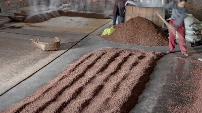 咱家不差錢，你又一把年紀(jì)了，何必堅(jiān)持用中型釀酒設(shè)備做酒？
