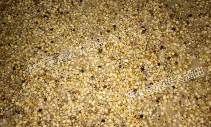 9.16液態(tài)薏米釀酒技術—薏米酒發(fā)酵中