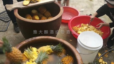 用果酒釀酒設(shè)備做菠蘿酒，簡(jiǎn)單易學(xué)，只需簡(jiǎn)單幾步。