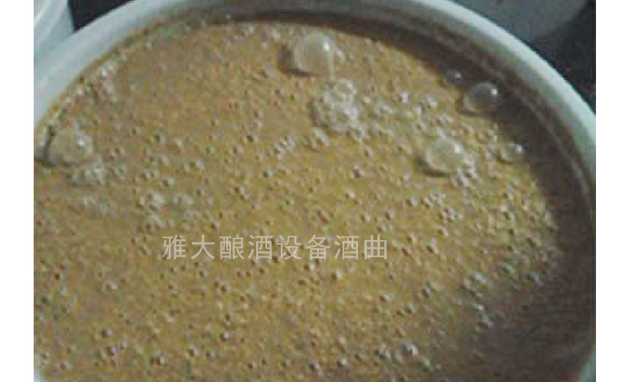 3-玉米生料發(fā)酵